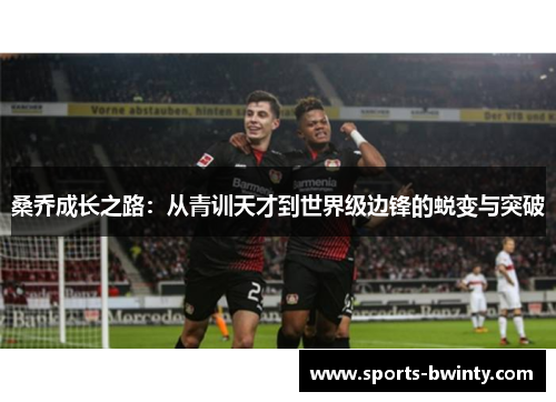 桑乔成长之路：从青训天才到世界级边锋的蜕变与突破
