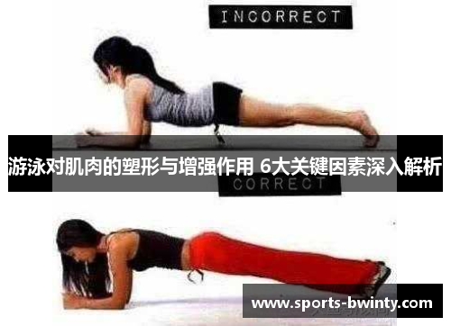 游泳对肌肉的塑形与增强作用 6大关键因素深入解析
