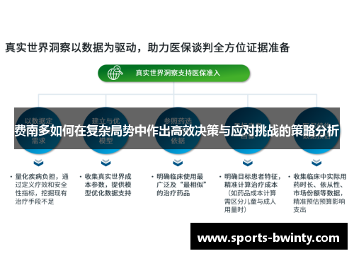 费南多如何在复杂局势中作出高效决策与应对挑战的策略分析
